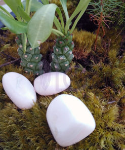 Alternative view of Manganocalcite 2-3 cm