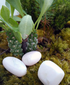 Manganocalcite 2-3 cm