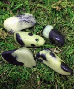 Serpentina - Rolado / Ligação a vidas passadas