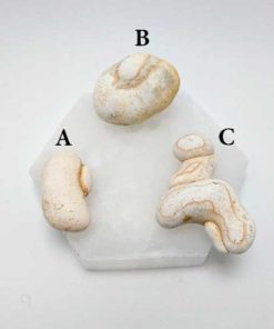 Pedra das Fadas/Deusas - Menilite